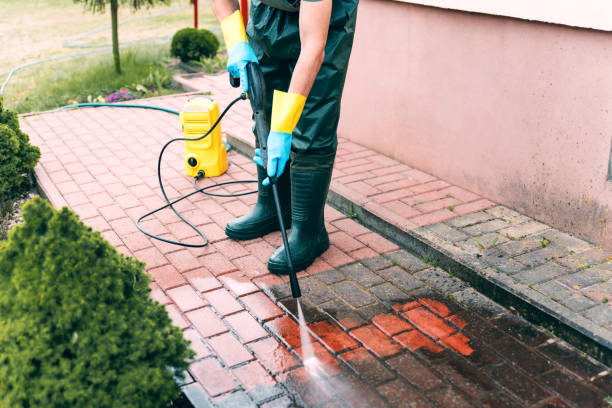 Best Pressure Washing Driveway  in West Branch, IA