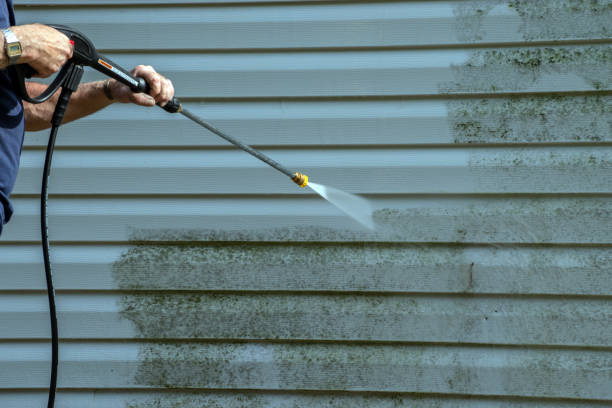 Best Residential Pressure Washing Services  in West Branch, IA