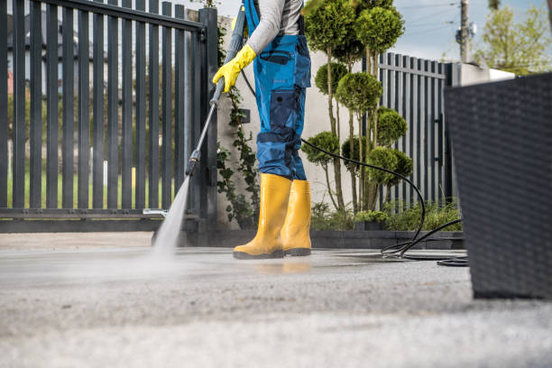 Best Affordable Power Washing  in West Branch, IA