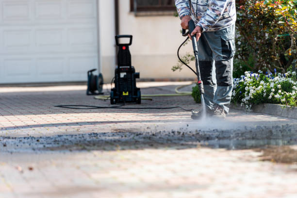 Best House Pressure Washing  in West Branch, IA