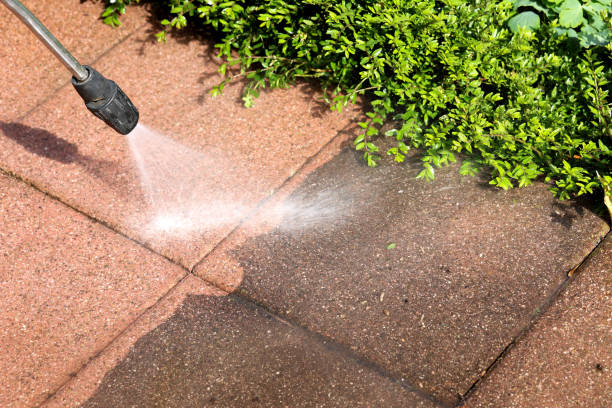 Best Concrete Pressure Washing  in West Branch, IA